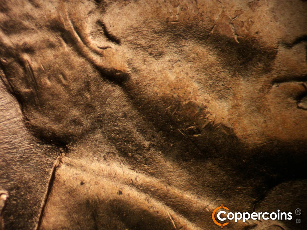 Die-stage B marker on 1955D•1DO•017 showing Concentric die scratch across jaw and ear.