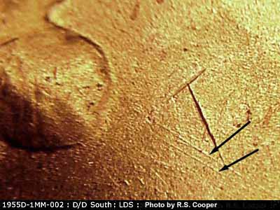 Die-stage C marker on 1955D•1MM•002 (1955 Repunched Mint Mark).