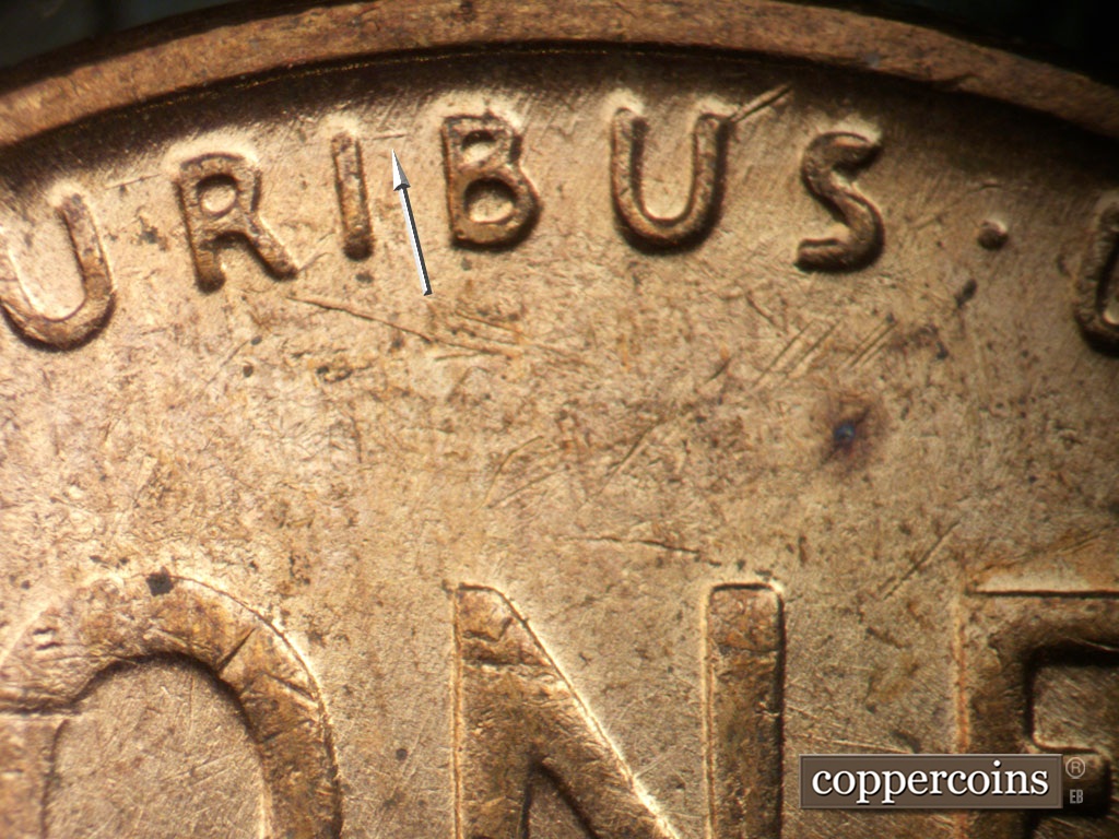 Die-stage B marker on 1955D•1MM•003 showing Die scratch runs from U in PLURIBUS to second U in PLURIBUS.