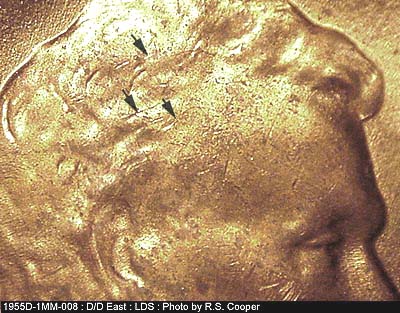 Die-stage C marker on 1955D•1MM•008 (1955 Repunched Mint Mark).