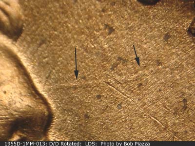 Die-stage C marker on 1955D•1MM•013 (1955 Repunched Mint Mark).