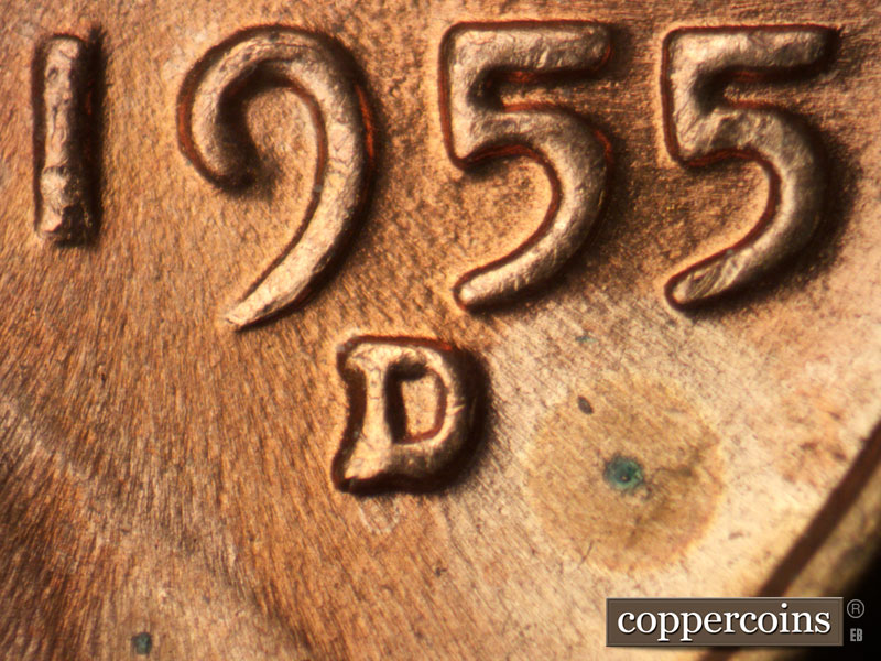 1955 Lincoln cent obverse, CopperCoins die 1955D•1MM•015.
