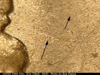 Die-stage B marker on 1955D•1MM•016 (1955 Repunched Mint Mark).