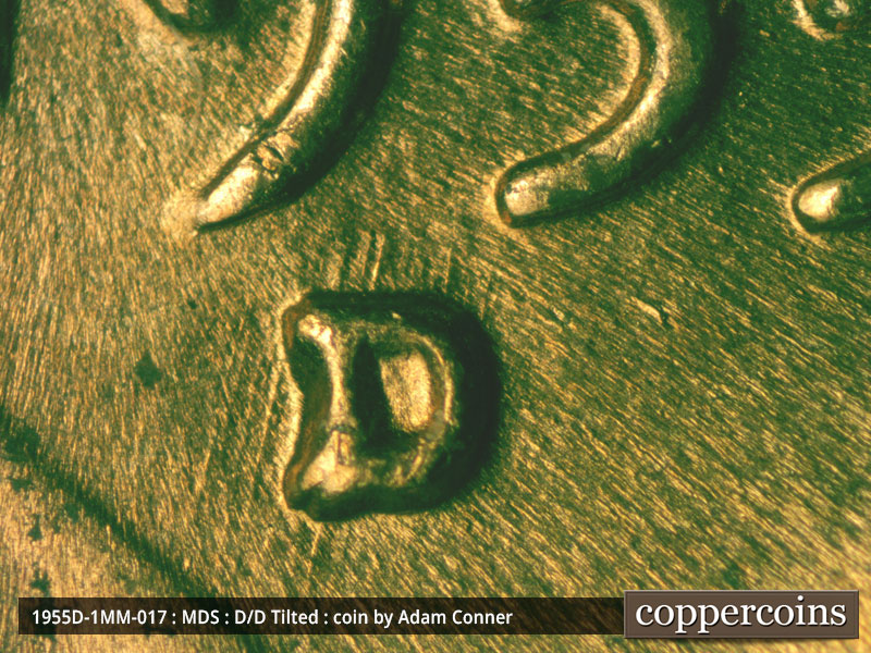 1955 Lincoln cent obverse, CopperCoins die 1955D•1MM•017.