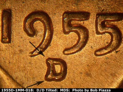 1955 Lincoln cent obverse, CopperCoins die 1955D•1MM•018.