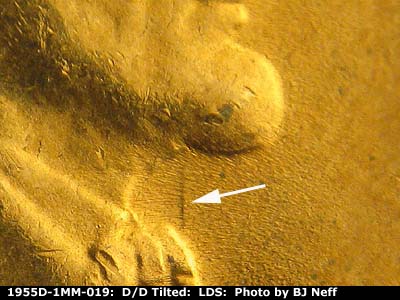 Die-stage C marker on 1955D•1MM•019 (1955 Repunched Mint Mark).