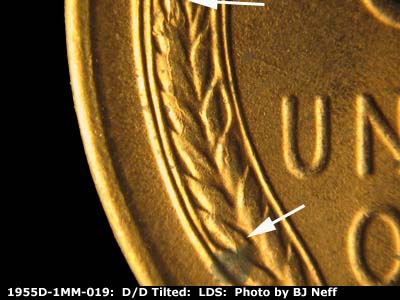 Die-stage C marker on 1955D•1MM•019 (1955 Repunched Mint Mark).