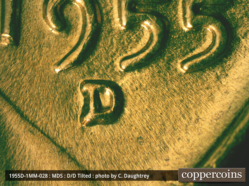 1955 Lincoln cent obverse, CopperCoins die 1955D•1MM•028.