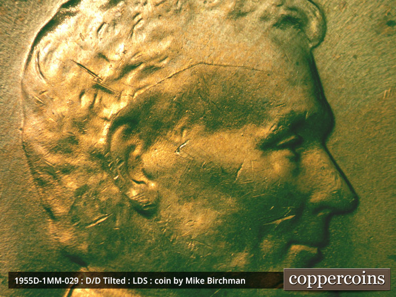 Die-stage C marker on 1955D•1MM•029 (1955 Repunched Mint Mark).
