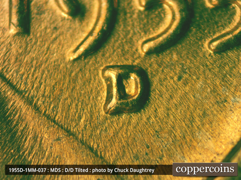 1955 Lincoln cent obverse, CopperCoins die 1955D•1MM•037.