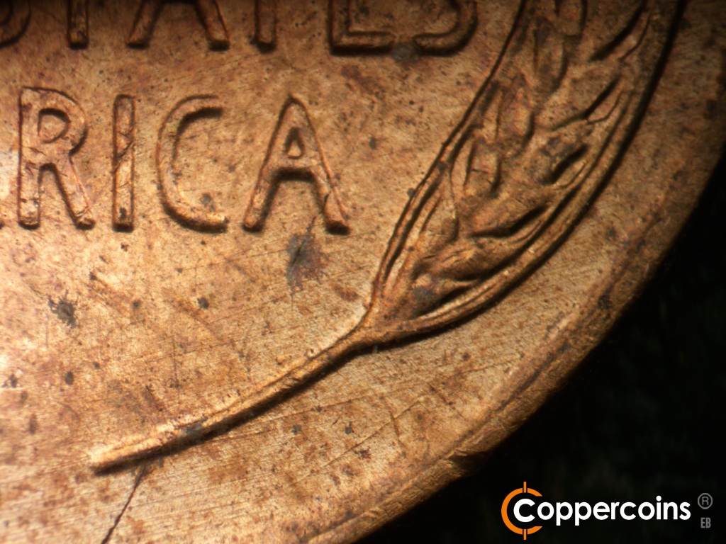 Die-stage B marker on 1955D•1MM•072 showing Die scratches between rim and right wheat stem.