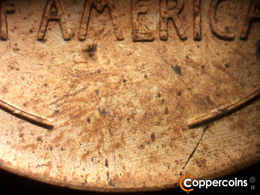 Die-stage B marker on 1955D•1MM•072 showing ENE die scratches between wheat stems.