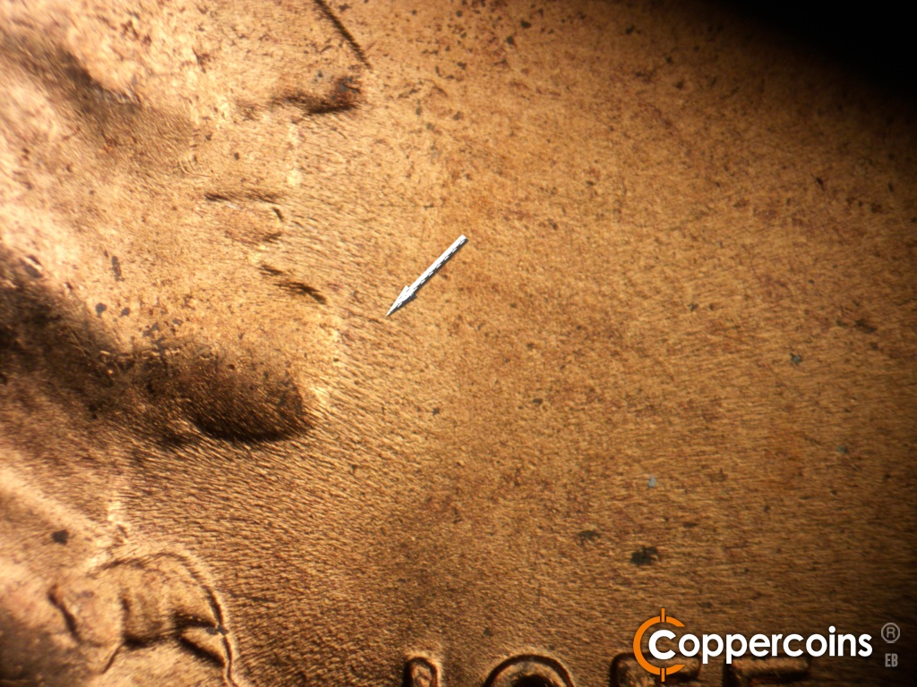Die-stage C marker on 1955D•1MM•072 showing ESE die scratch from chin is still visible from stage B.