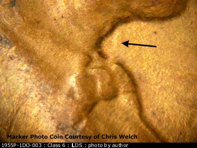 Die-stage C marker on 1955P•1DO•003 (1955 Doubled Die Obverse).