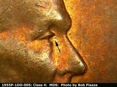 1955 Lincoln cent obverse, CopperCoins die 1955P•1DO•005.