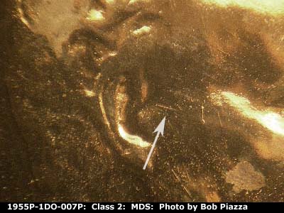 Die-stage B marker on 1955P•1DO•007P showing Die scratches show in front of the ear.