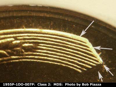 Die-stage B marker on 1955P•1DO•007P showing Doubling shows on the outer edge of the left wheat.