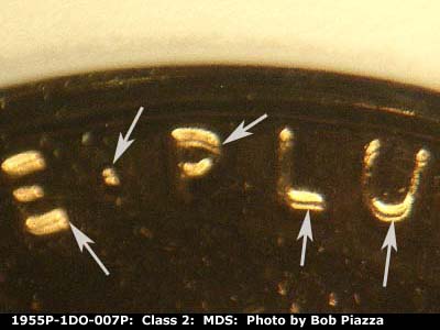Die-stage B marker on 1955P•1DO•007P showing Nice separation shows and the doubling on E pluribus Unum.