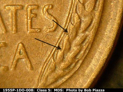Die-stage B marker on 1955P•1DO•008 (1955 Doubled Die Obverse).
