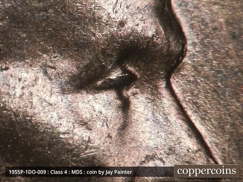 1955 Lincoln cent obverse, CopperCoins die 1955P•1DO•009.