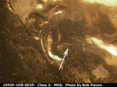 Die-stage B marker on 1955P•1DR•002P (1955 Doubled Die Reverse).