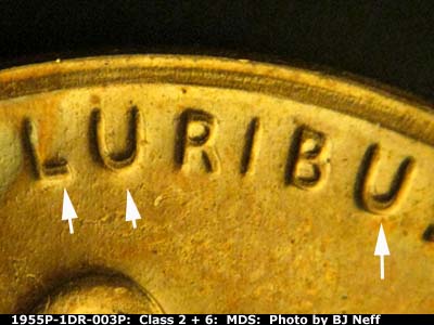 Die-stage B marker on 1955P•1DR•003P (1955 Doubled Die Reverse).