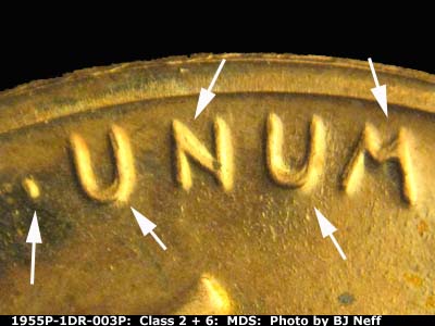 Die-stage B marker on 1955P•1DR•003P (1955 Doubled Die Reverse).