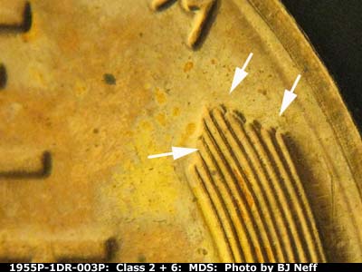 Die-stage B marker on 1955P•1DR•003P (1955 Doubled Die Reverse).