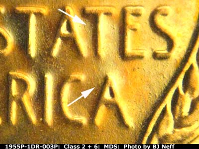 Die-stage B marker on 1955P•1DR•003P (1955 Doubled Die Reverse).