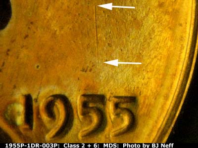 Die-stage B marker on 1955P•1DR•003P (1955 Doubled Die Reverse).