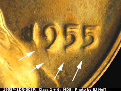 Die-stage B marker on 1955P•1DR•003P (1955 Doubled Die Reverse).