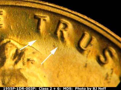 Die-stage B marker on 1955P•1DR•003P (1955 Doubled Die Reverse).