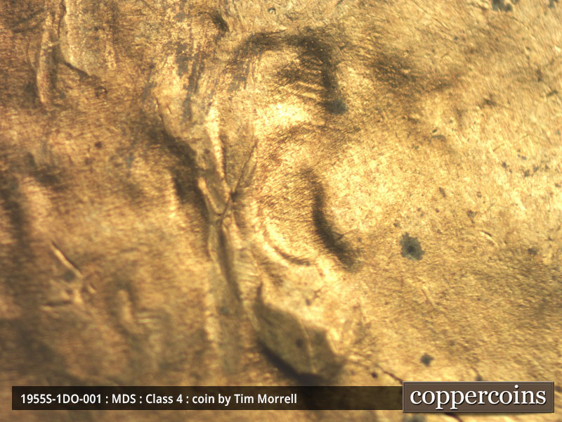 Die-stage B marker on 1955S•1DO•001 (1955 Doubled Die Obverse).