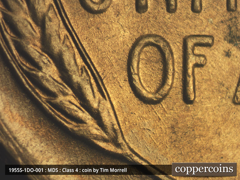 Die-stage B marker on 1955S•1DO•001 (1955 Doubled Die Obverse).