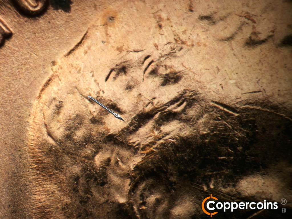 Die-stage D marker on 1955S•1MM•002 showing Die crack in back of hair.