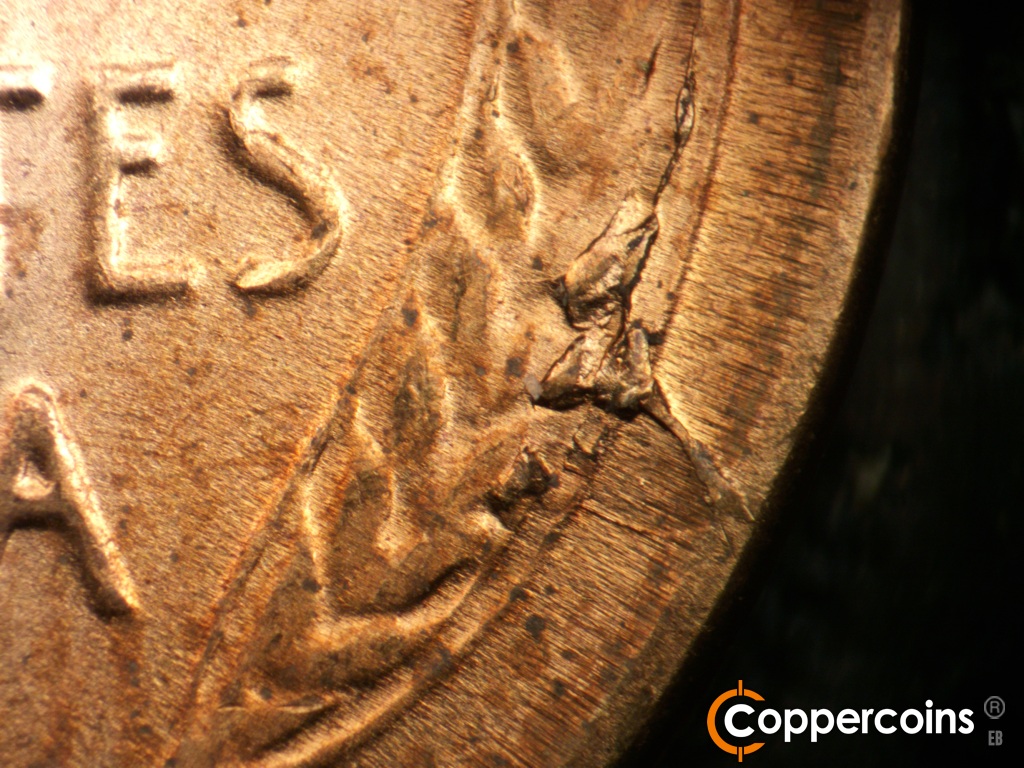 Die-stage D marker on 1955S•1MM•002 showing A larger die crack and chip on the lower right wheat grains to the rim.