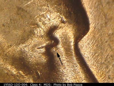 1956 Lincoln cent obverse, CopperCoins die 1956D•1DO•004.