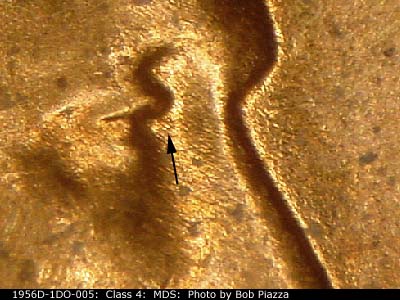 1956 Lincoln cent obverse, CopperCoins die 1956D•1DO•005.