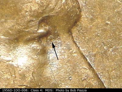 1956 Lincoln cent obverse, CopperCoins die 1956D•1DO•008.