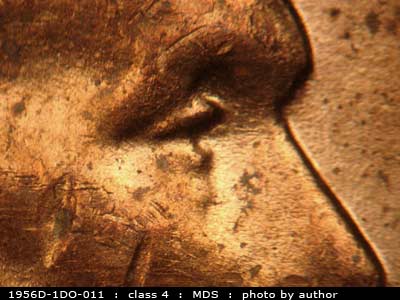 1956 Lincoln cent obverse, CopperCoins die 1956D•1DO•011.