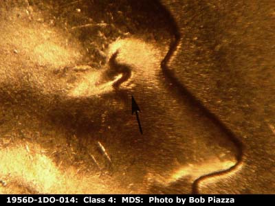 1956 Lincoln cent obverse, CopperCoins die 1956D•1DO•014.