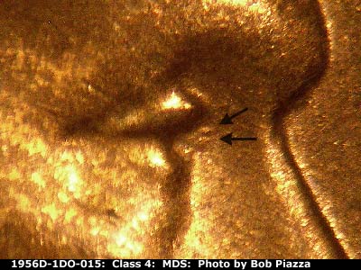 1956 Lincoln cent obverse, CopperCoins die 1956D•1DO•015.