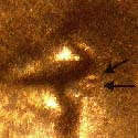 Pre-attribution image for 1956D•1DO•015