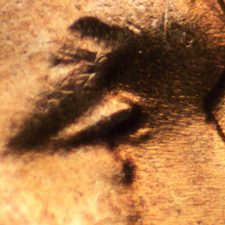 Pre-attribution image for 1956D•1DO•016