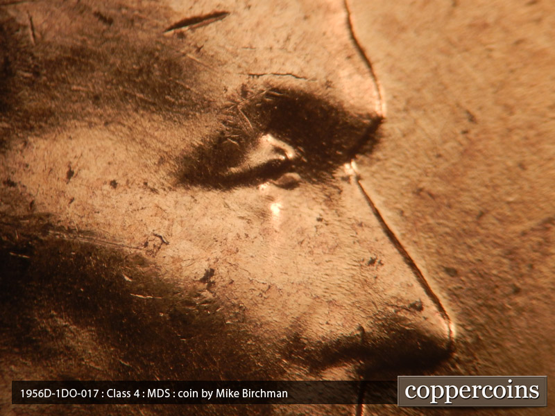1956 Lincoln cent obverse, CopperCoins die 1956D•1DO•017.