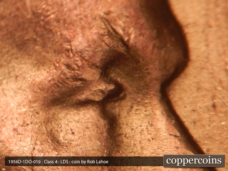 Die-stage C marker on 1956D•1DO•019 (1956 Doubled Die Obverse).
