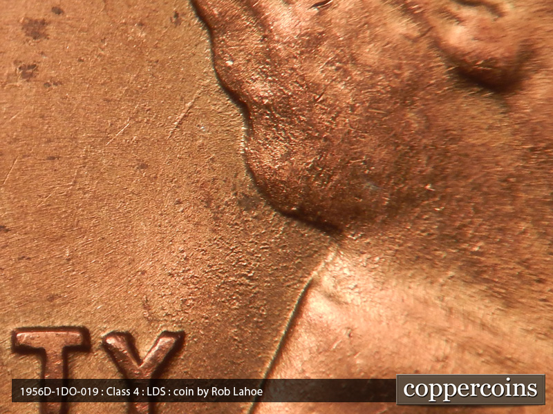 Die-stage C marker on 1956D•1DO•019 (1956 Doubled Die Obverse).