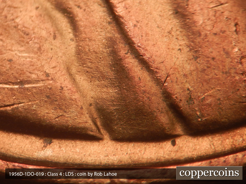 Die-stage C marker on 1956D•1DO•019 (1956 Doubled Die Obverse).