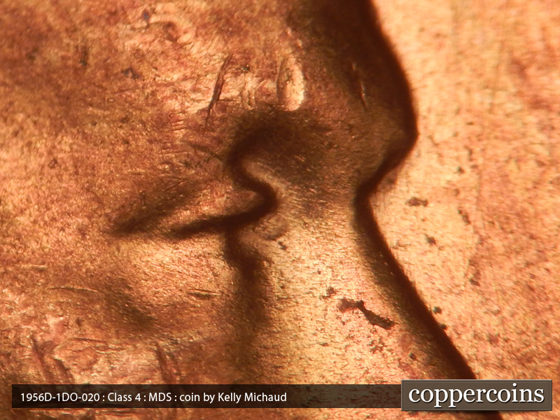 1956 Lincoln cent obverse, CopperCoins die 1956D•1DO•020.