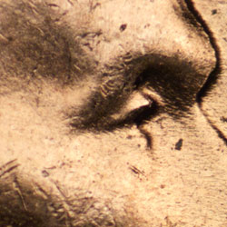 Pre-attribution image for 1956D•1DO•030